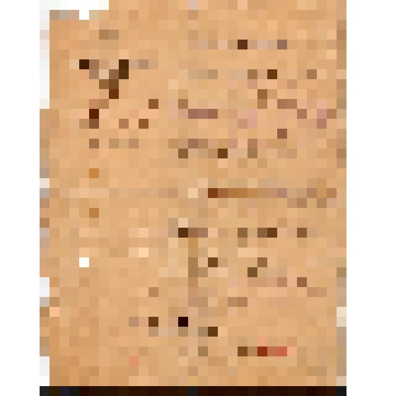 Удостоверение №20577 на имя С.С. Лебедева
