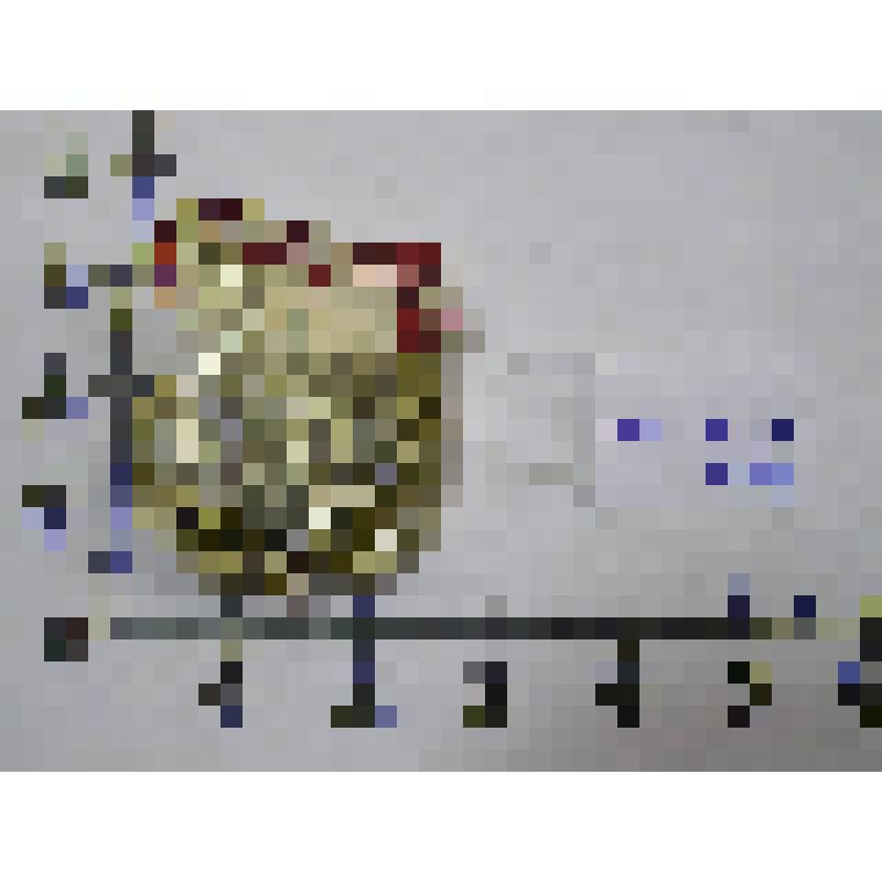 Значок сувенирный - Коростень