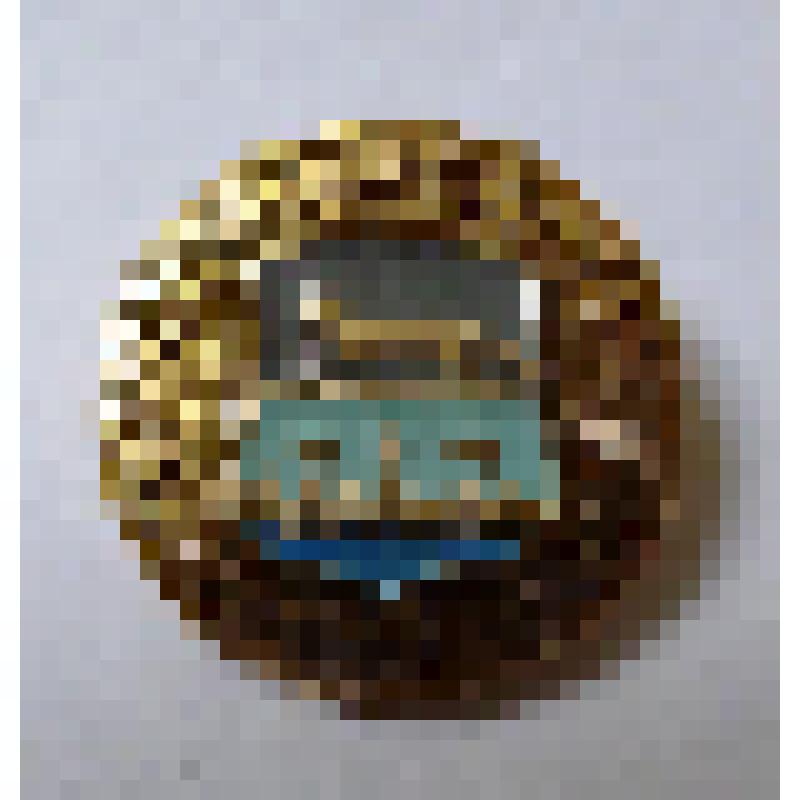 Значок "Стерлитамак. Древний герб"