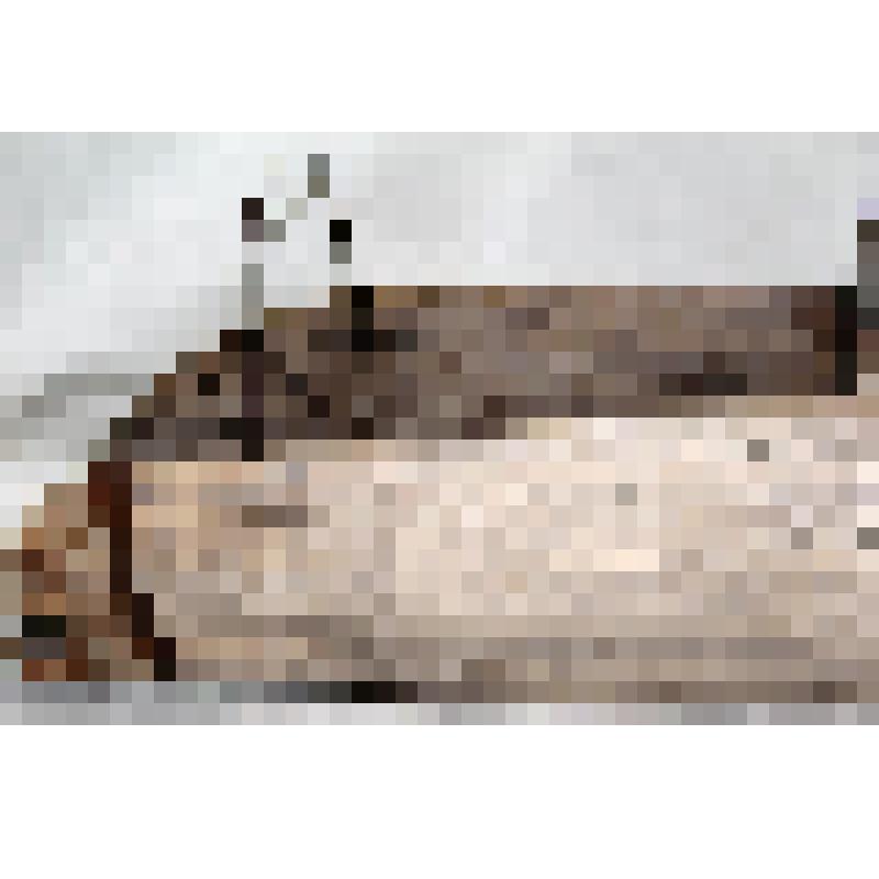 Домашняя хозяйственная утварь из дерева и металла Совок деревянный выдолблен из бруска, продолговатой формы с округлым дном, с короткой , круглой в сечении рукоятью