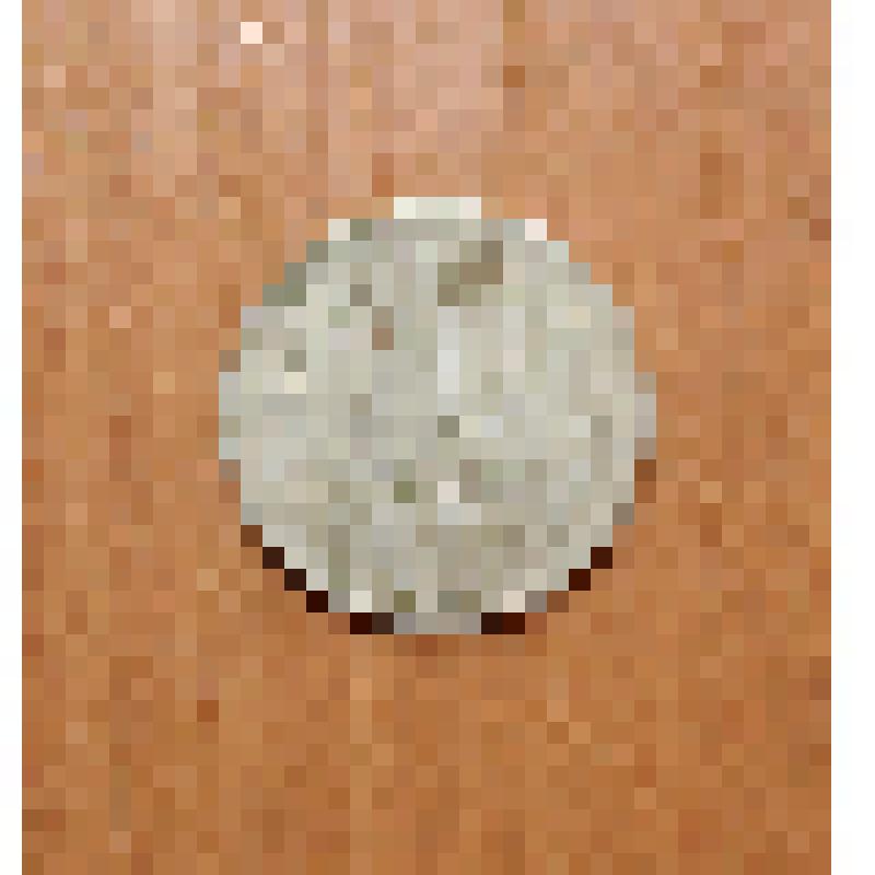 Монета достоинством 10 копеек 1961 года