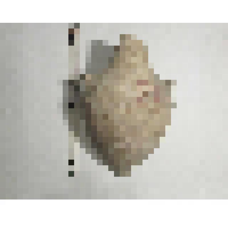 Амфоры типа D с дипинти