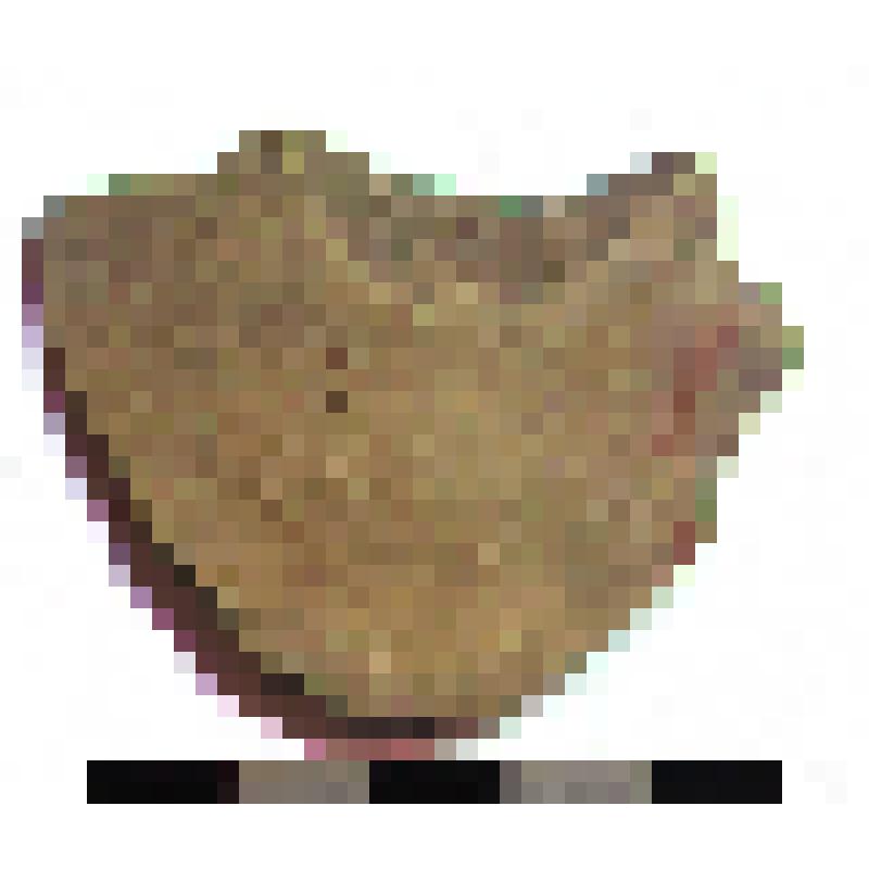 Фрагмент горла амфоры типа D с дипинто