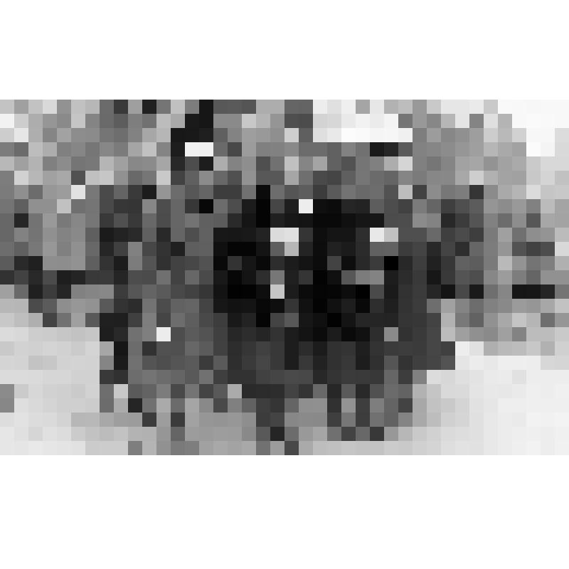 Фото ч/б. Сестры Медведчука Ф.К. во время шествия близ д. Александровка, в связи с перезахоронением в братскую могилу д. Александровка праха троих погибших воинов. 18.10.1981 г