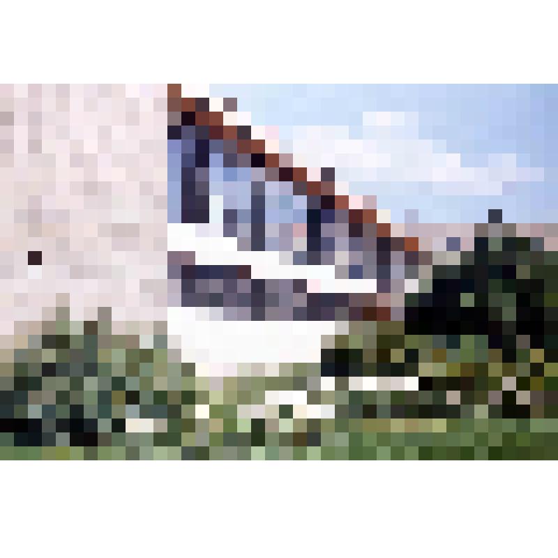 Диапозитив. Улица Юности. (232)