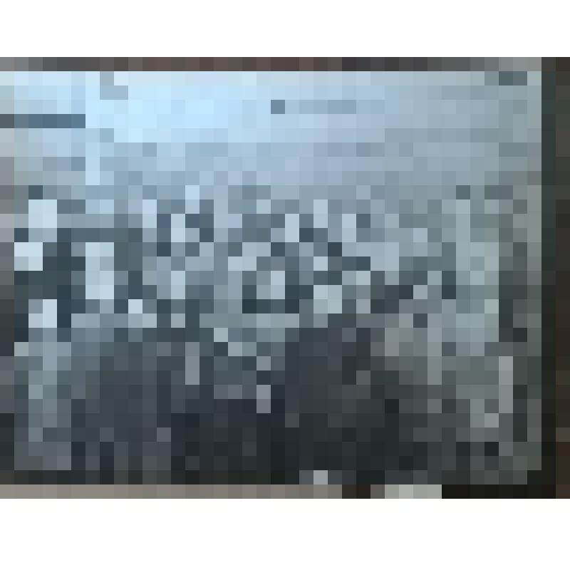 фотография групповая. Дети стоят в 4 ряда