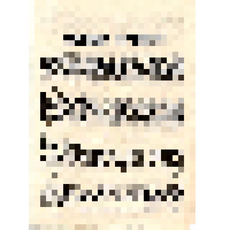 Типография газеты "Ленинское знамя". Немецкие салтычихи