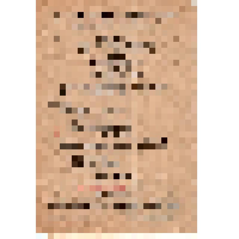 Программа симфонического концерта из произведений Бетховена в исполнении оркестра ГАБТ"а