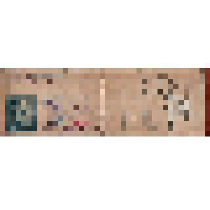 Студенческий билет N2835 Ляпина И.М. с фото