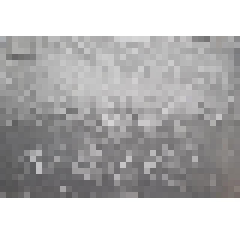 Фотография. «Возле башни Сююмбике». Из набора фотографий «По следам Ленина»