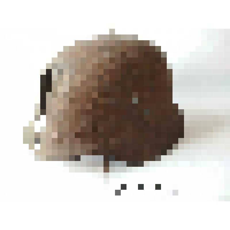 Стальной шлем М35