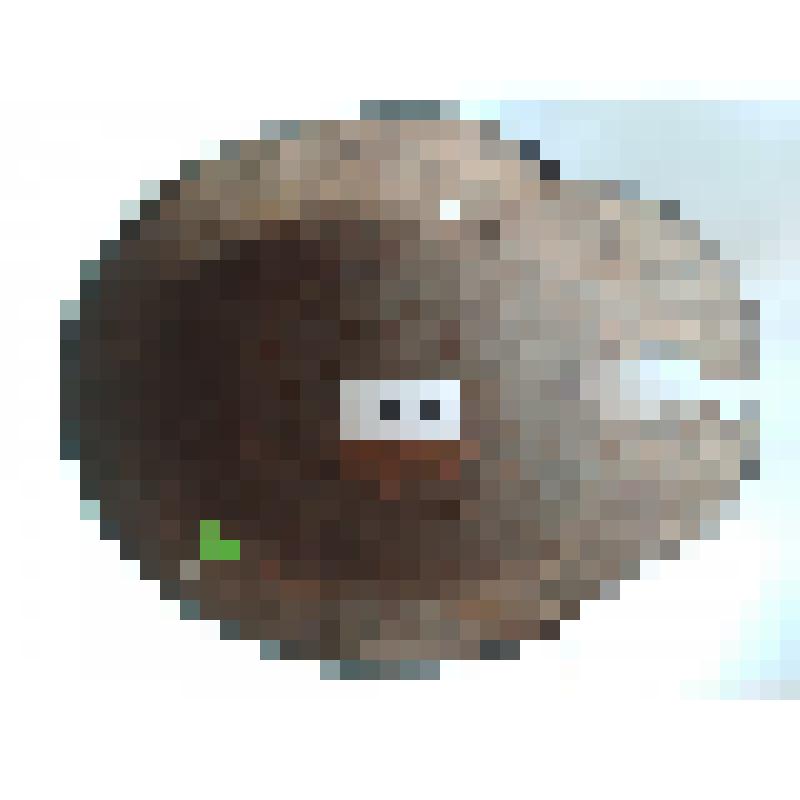 Стальной шлем М35