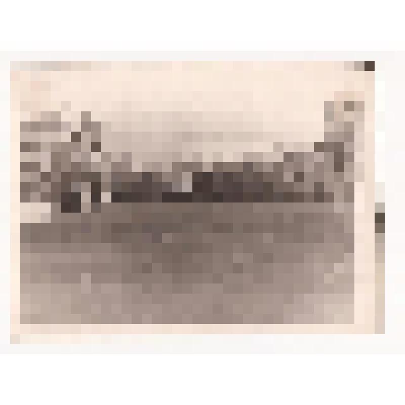 Фотография. Демонстрация