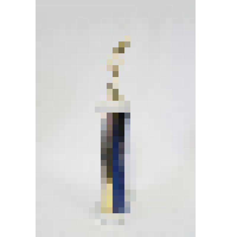 Наградная статуэтка "Юношеский рождественский турнир по вольной борьбе. Штат Вашингтон. 2-е место в весовой категории до 54 кг"