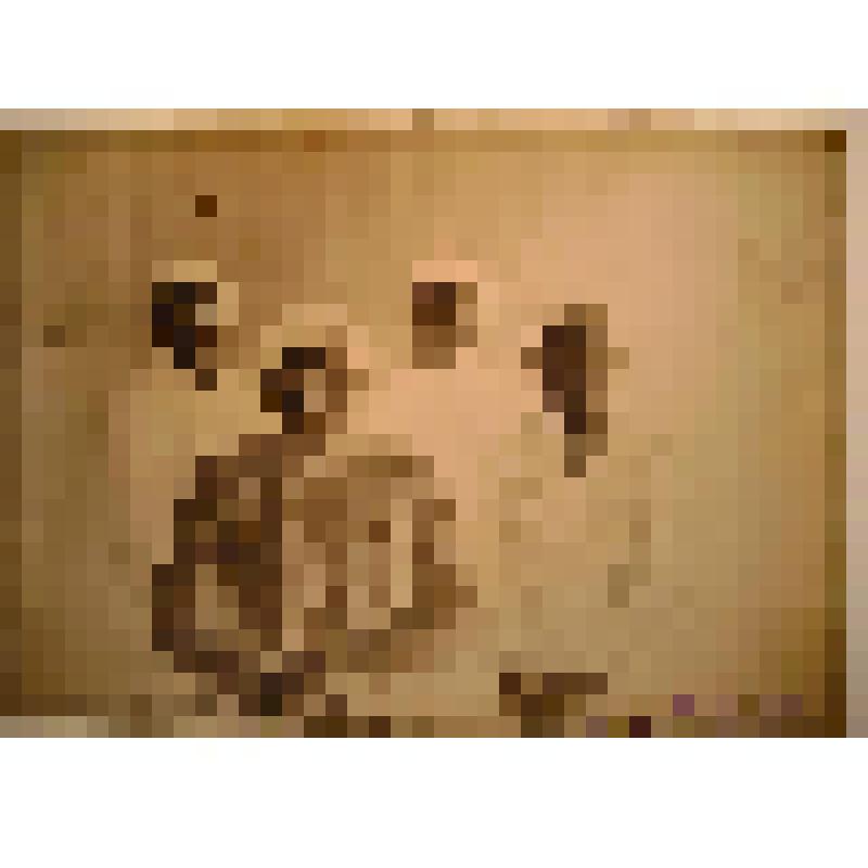 Негатив. Портрет поясной семейный