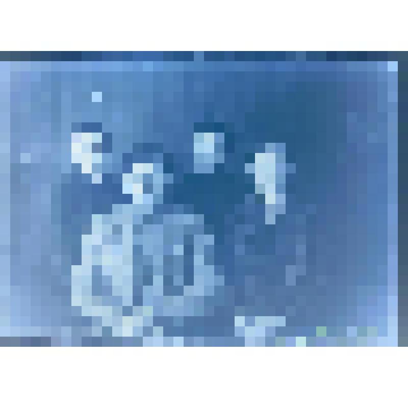 Негатив. Портрет поясной семейный