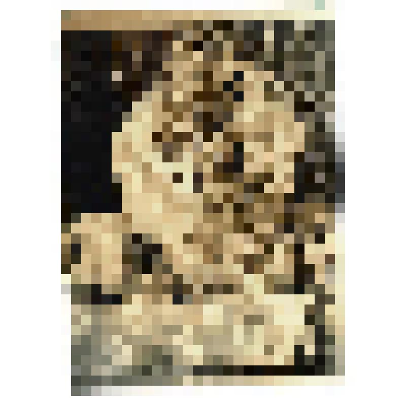 Фотография. Фотоснимки с картин Тебетева М.А. Шишки