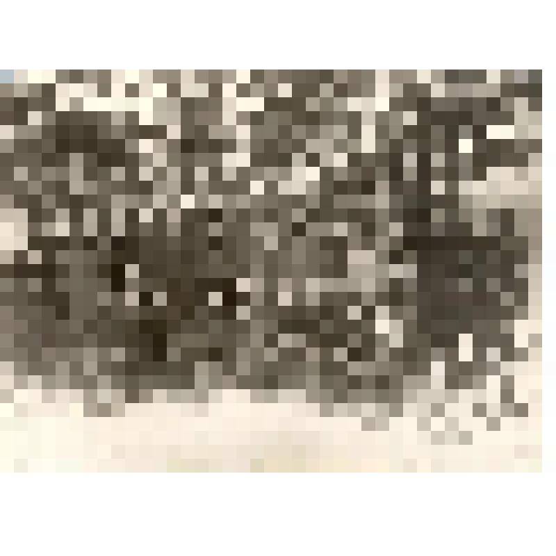 Фотография ч/б. Группа детей в зимнем  пионерском лагере Переделкино. В верхнем ряду третий справа  в ушанке – Вадим Паустовский. 12 января 1939 г