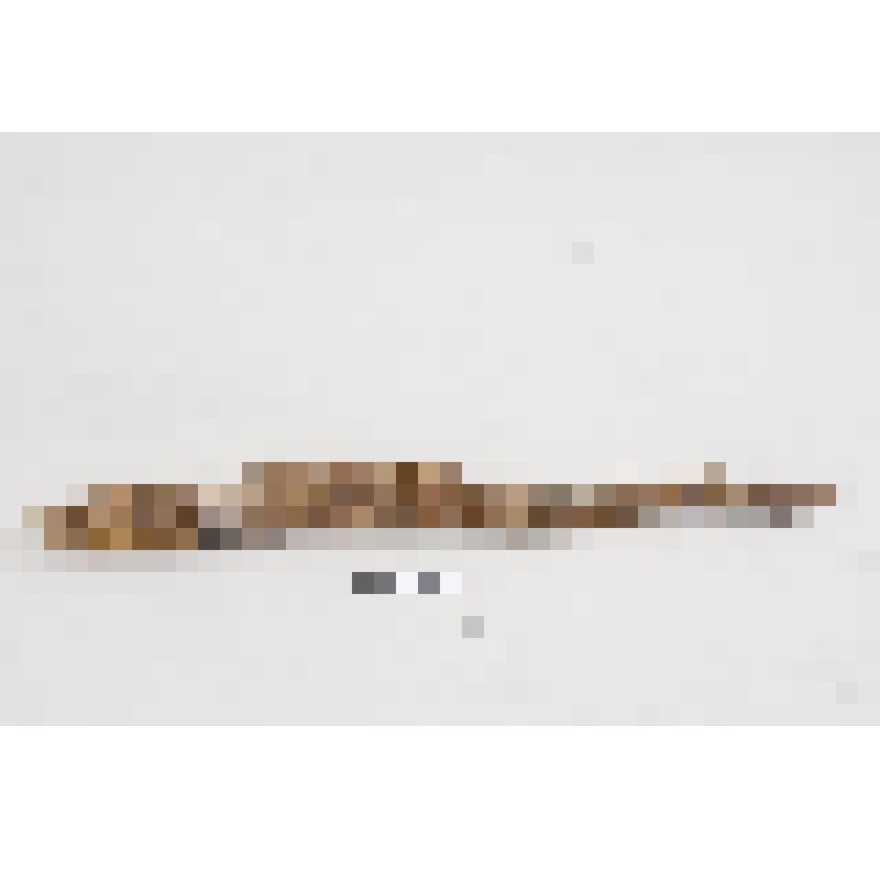 Мумия крокодила-детеныша