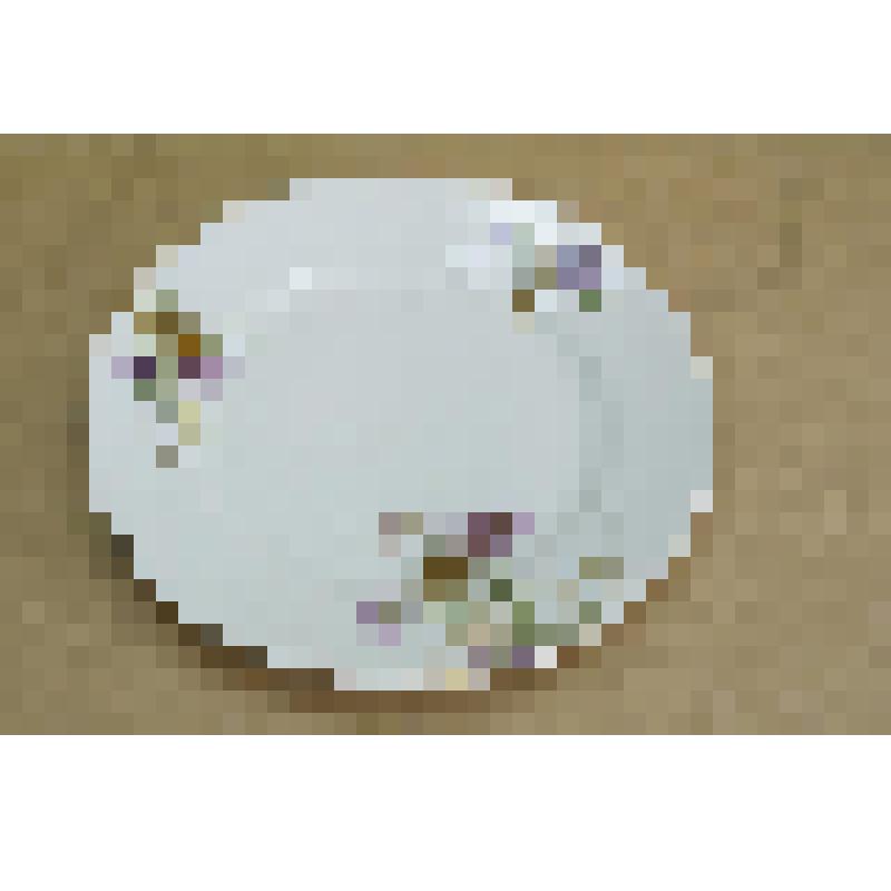 Тарелка большая мелкая