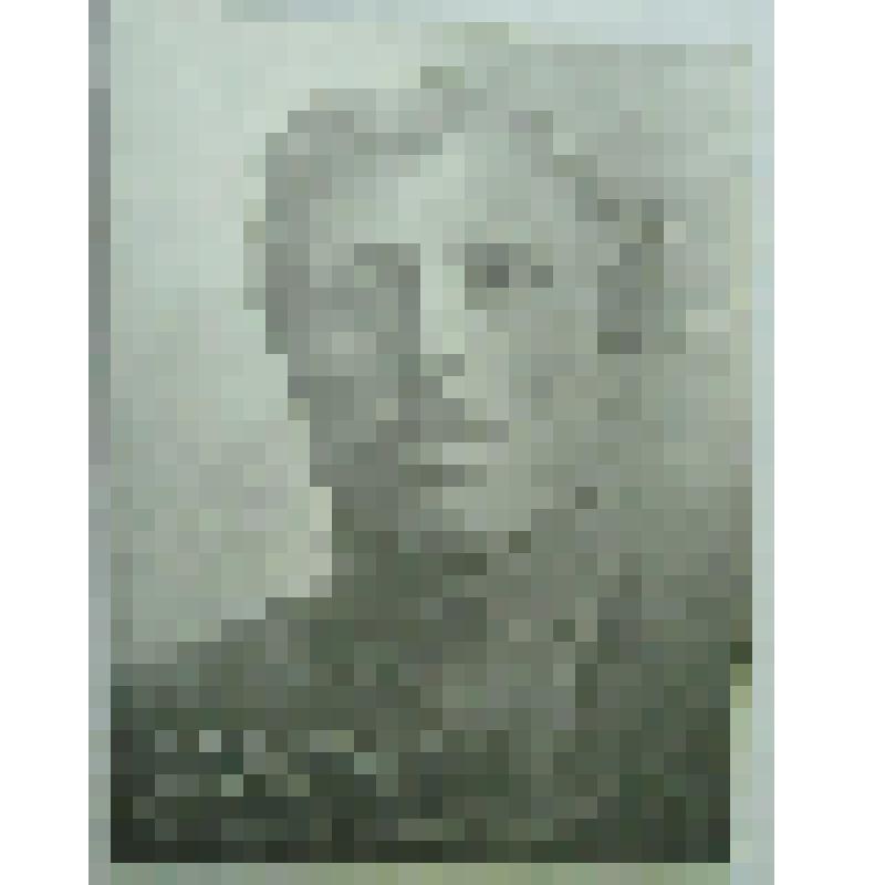 Фотография. Давыдов Александр Васильевич - организатор партийной организации в Мамадышском уезде в 1917 г., первый военный комиссар г. Мамадыш