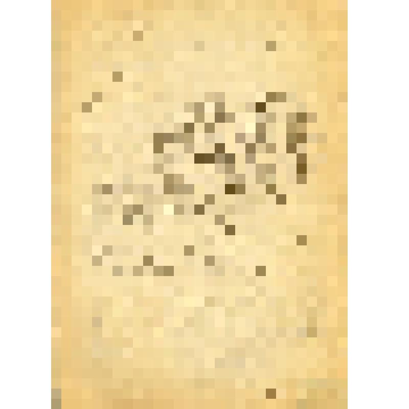 Рукопись. Уолтер Мэй (английский поэт и переводчик). О Есенине: литературная статья