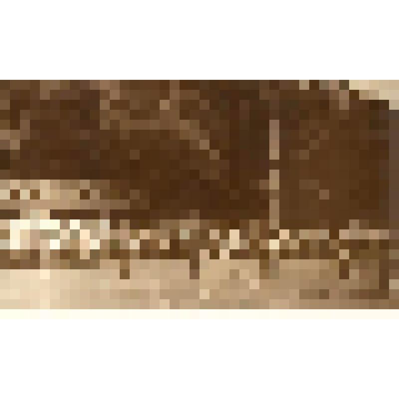 Фото сюжетное. Праздник города, посвящённый 290 -летию  Петровска