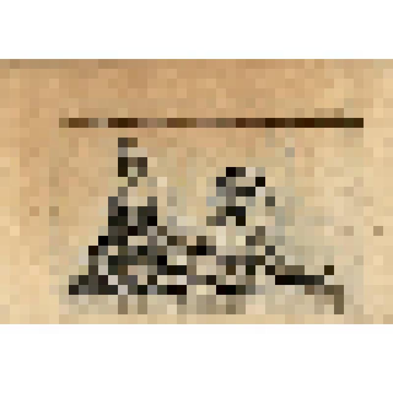 Riviere. (Статуя "Река" (№ 164) - лист из альбома: «Recueil des statues, groupes, fontaines, termes, vases, et autres magnifiques ornaments du Chateau & Parc de Versailles.» T. I-IV. (Собрание фигур, групп, терм, фонтанов, ваз, статуй и других орнаментов