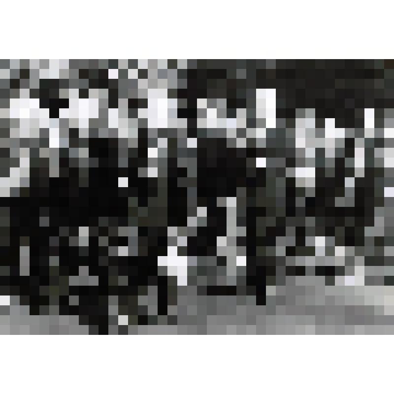Фотография. Ветераны ВОВ 214-й СД идут возлагать цветы, г.Кременчуг