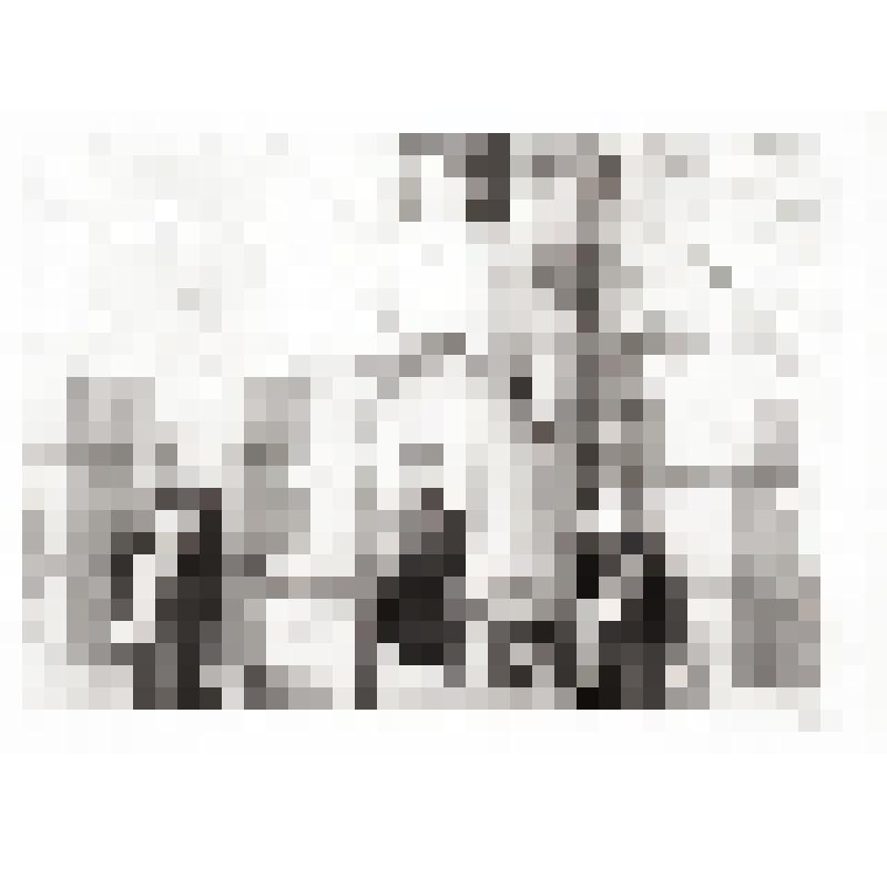 Фотография сюжетная. Почетный караул у памятника на братской могиле в д. Гультяи Псковской области, где похоронен Масибут Егор Митрофанович - участник ВОВ. Погиб 06.01.1944 г