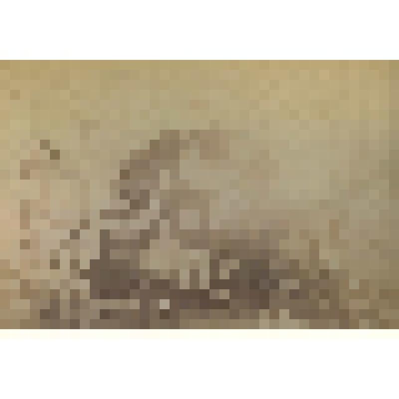 Фотография: уголок выставки, посвященной 75-летию со дня рождения И.С. Никитина в г. Воронеже