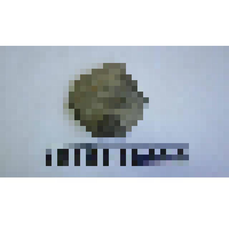 Ножка амфоры типа Зеест 72