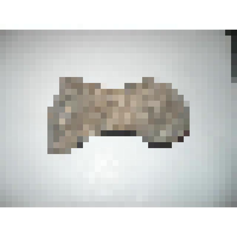 Кость неизвестного животного