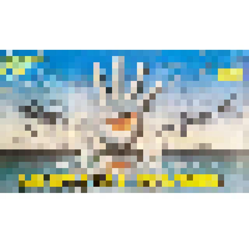 плакат. Фильм: Загородная прогулка. 1987