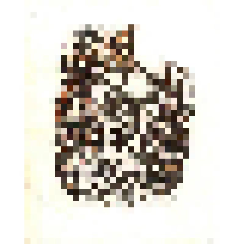 Книга. Белый конь Манчары. Стихи и поэма