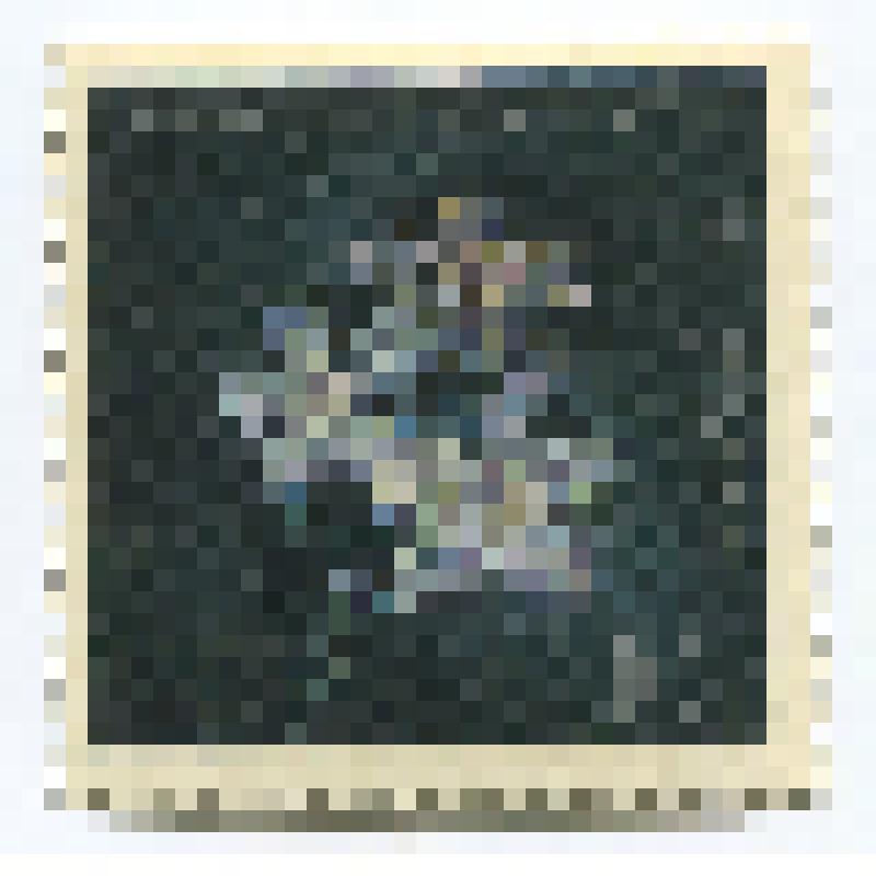 Марка почтовая СССР "Букет нарциссов"