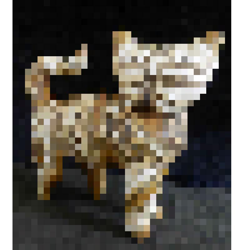 Кошка, гуляющая сама по себе