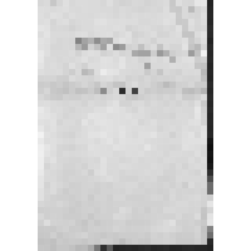 Башкирия с древнейших времен до монголо-татарского нашествия. Первобытнообщинный строй и начало его разложения. Взаимоотношение башкирских племен с булгарами