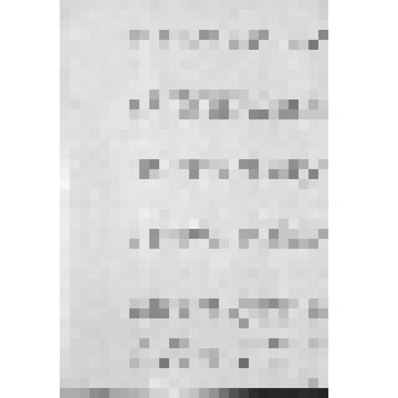 Башкирия с древнейших времен до монголо-татарского нашествия. Первобытнообщинный строй и начало его разложения. Взаимоотношение башкирских племен с булгарами