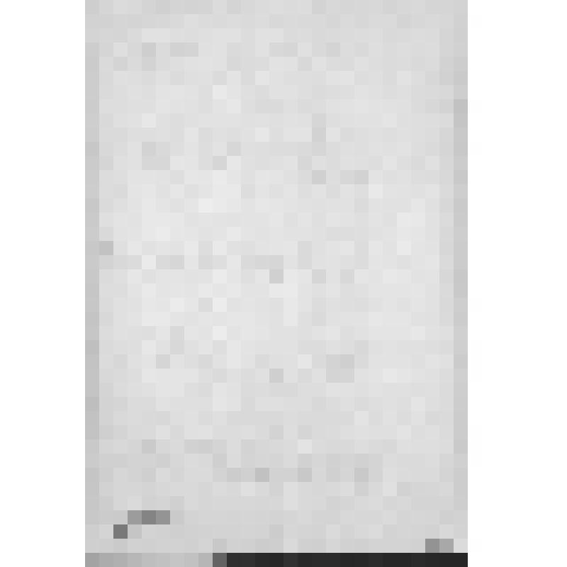 Башкирия с древнейших времен до монголо-татарского нашествия. Первобытнообщинный строй и начало его разложения. Взаимоотношение башкирских племен с булгарами