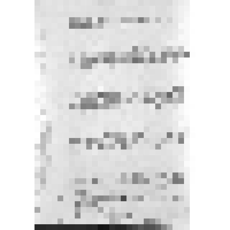 Башкирия с древнейших времен до монголо-татарского нашествия. Первобытнообщинный строй и начало его разложения. Взаимоотношение башкирских племен с булгарами