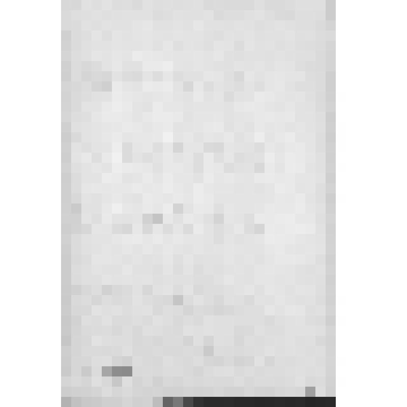 Башкирия с древнейших времен до монголо-татарского нашествия. Первобытнообщинный строй и начало его разложения. Взаимоотношение башкирских племен с булгарами