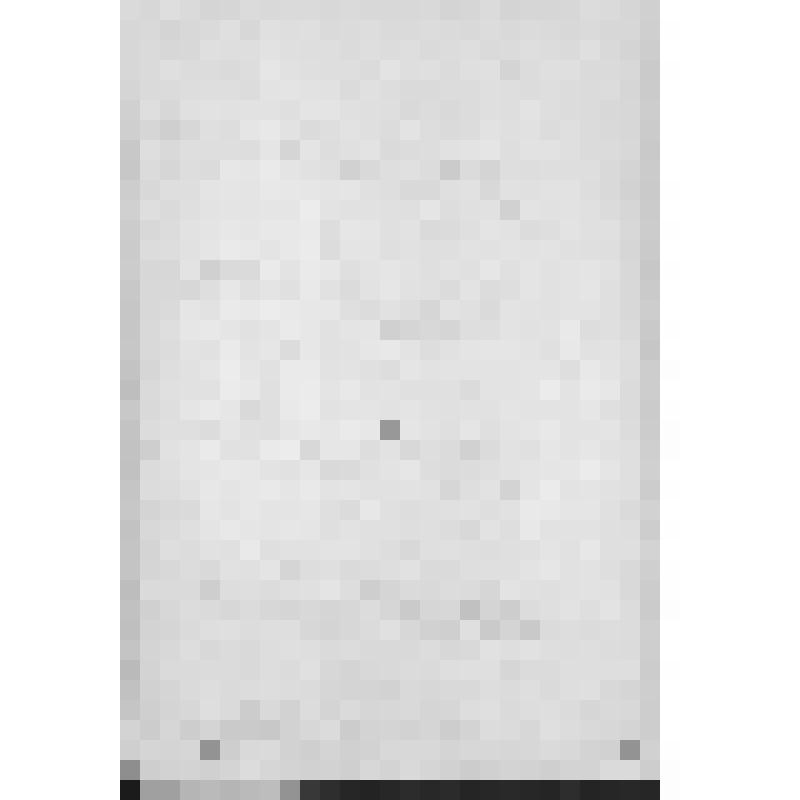 Башкирия с древнейших времен до монголо-татарского нашествия. Первобытнообщинный строй и начало его разложения. Взаимоотношение башкирских племен с булгарами