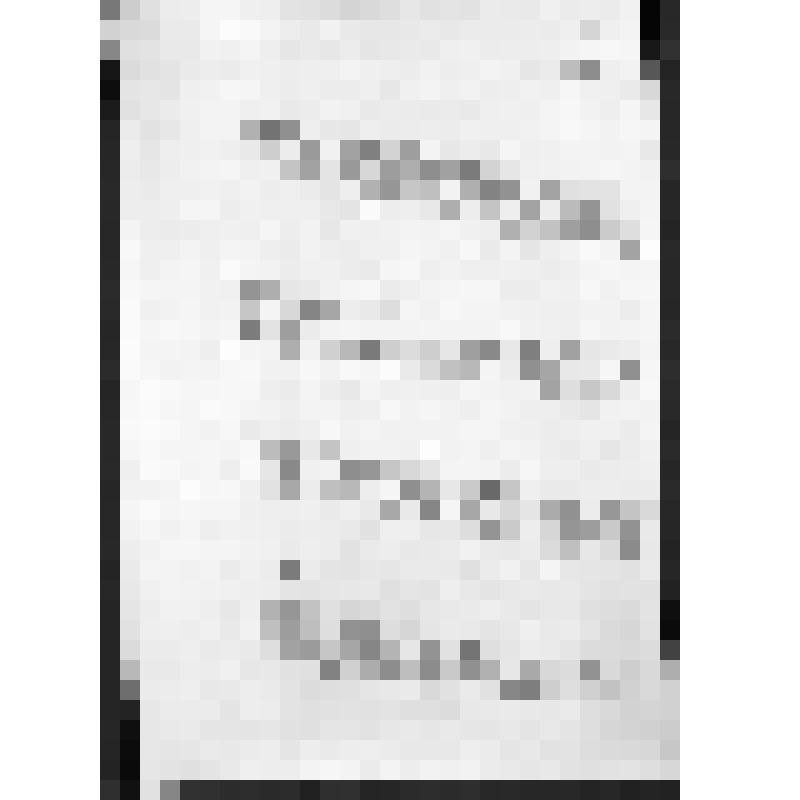 Башкирия с древнейших времен до монголо-татарского нашествия. Первобытнообщинный строй и начало его разложения. Взаимоотношение башкирских племен с булгарами