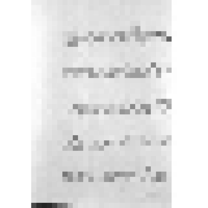 Башкирия с древнейших времен до монголо-татарского нашествия. Первобытнообщинный строй и начало его разложения. Взаимоотношение башкирских племен с булгарами