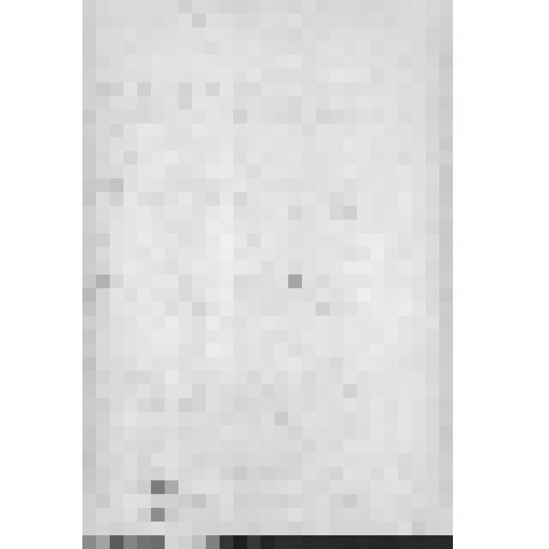 Башкирия с древнейших времен до монголо-татарского нашествия. Первобытнообщинный строй и начало его разложения. Взаимоотношение башкирских племен с булгарами