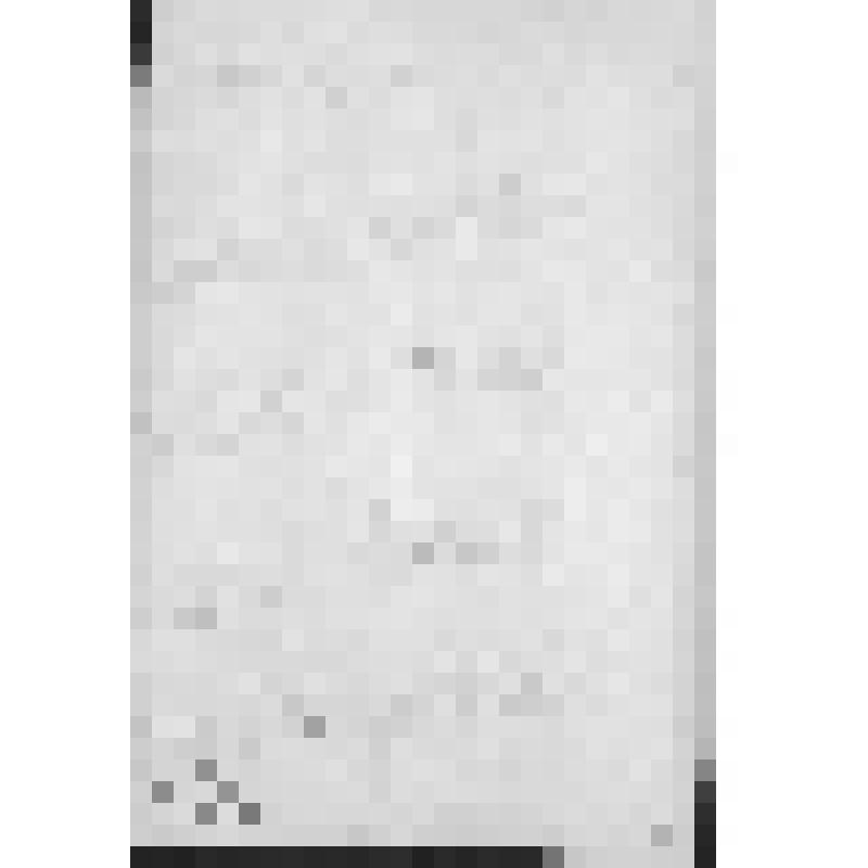 Башкирия с древнейших времен до монголо-татарского нашествия. Первобытнообщинный строй и начало его разложения. Взаимоотношение башкирских племен с булгарами