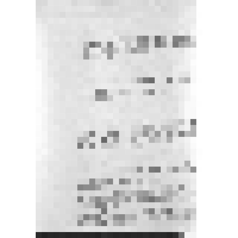 Башкирия с древнейших времен до монголо-татарского нашествия. Первобытнообщинный строй и начало его разложения. Взаимоотношение башкирских племен с булгарами