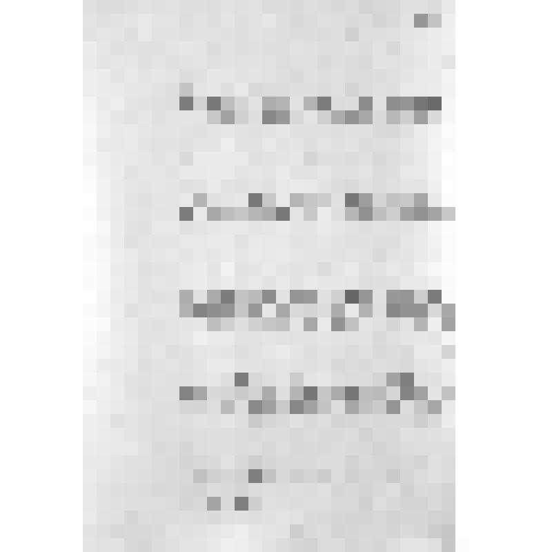 Башкирия с древнейших времен до монголо-татарского нашествия. Первобытнообщинный строй и начало его разложения. Взаимоотношение башкирских племен с булгарами