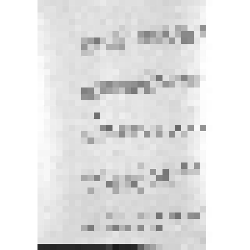 Башкирия с древнейших времен до монголо-татарского нашествия. Первобытнообщинный строй и начало его разложения. Взаимоотношение башкирских племен с булгарами